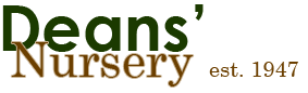 Deans' Nursery